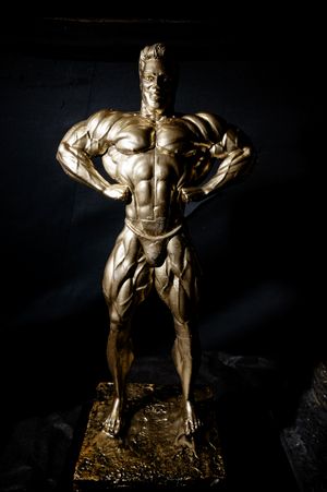 Фотограф Андрей Губренко